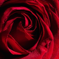 To love again (Demo version)