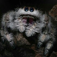 Gravity - Intergalactic Travel.flac