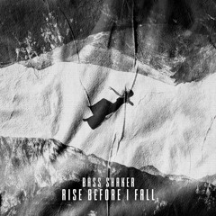 Bass Shaker - Rise Before I Fall (Free download)