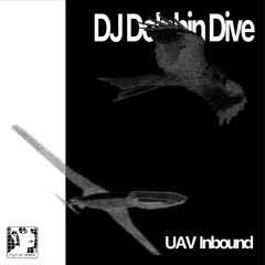DJ Dolphin Dive - Anadin