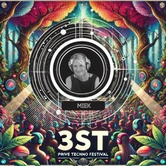 Festival 3ST