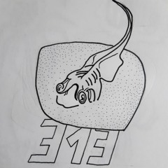 Symptom313