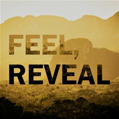 Feel, Reveal
