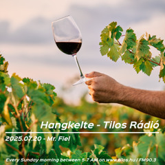 Hangkelte @ Tilos - 2025.07.20. - Mr. Fiel @ Lanka pince live dj set 2025