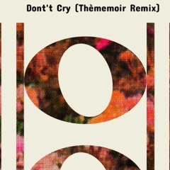 Model Man - Don't Cry feat. Hamzaa (Thèmemoir Remix)