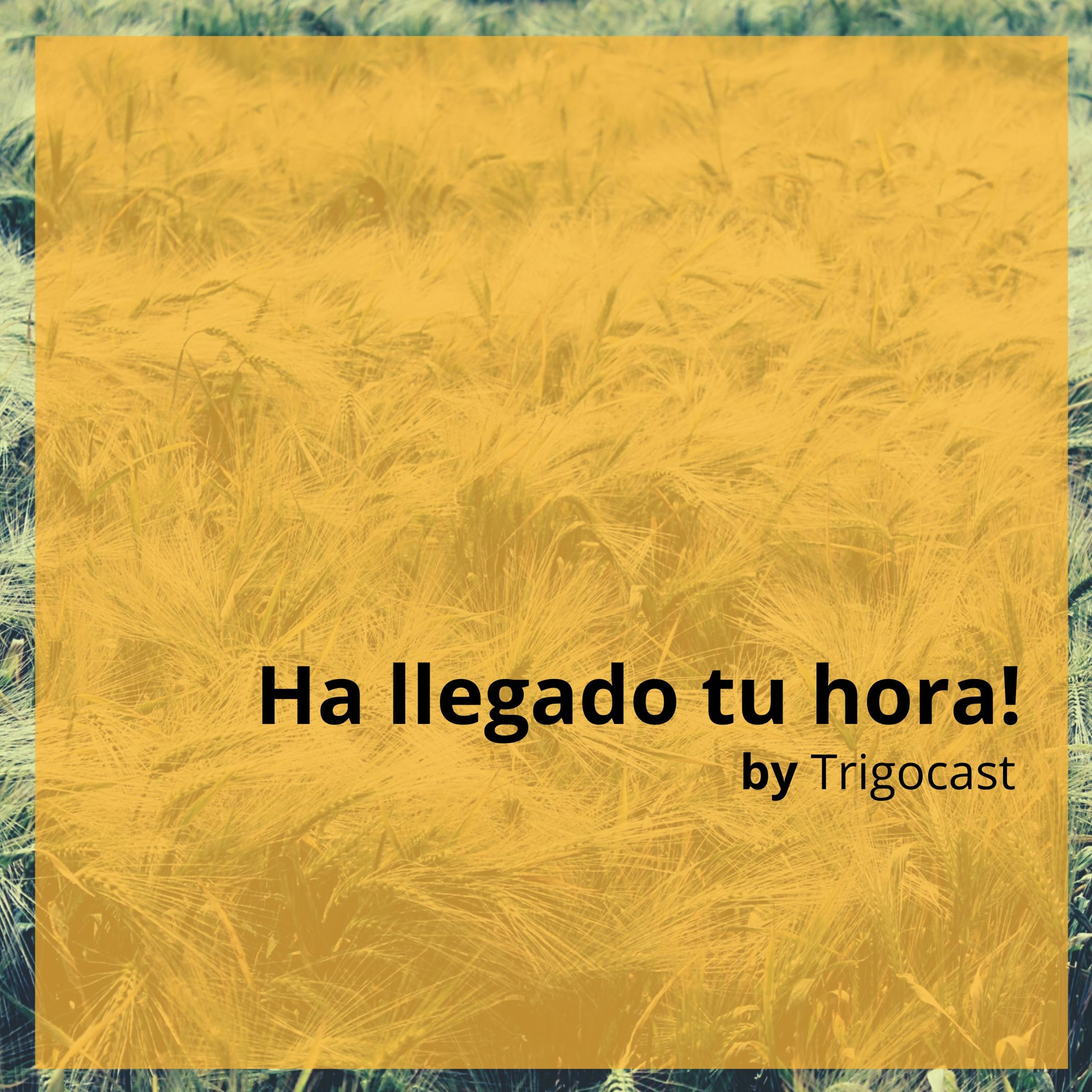 Ha llegado a tu hora