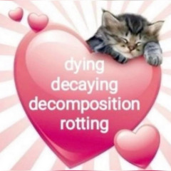 20 mnts até acenderem a fogueira