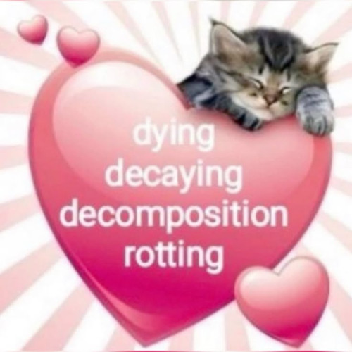 20 mnts até acenderem a fogueira