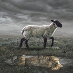 Worthy is the Lamb (demo)