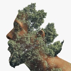 Hamouda (unreleased)