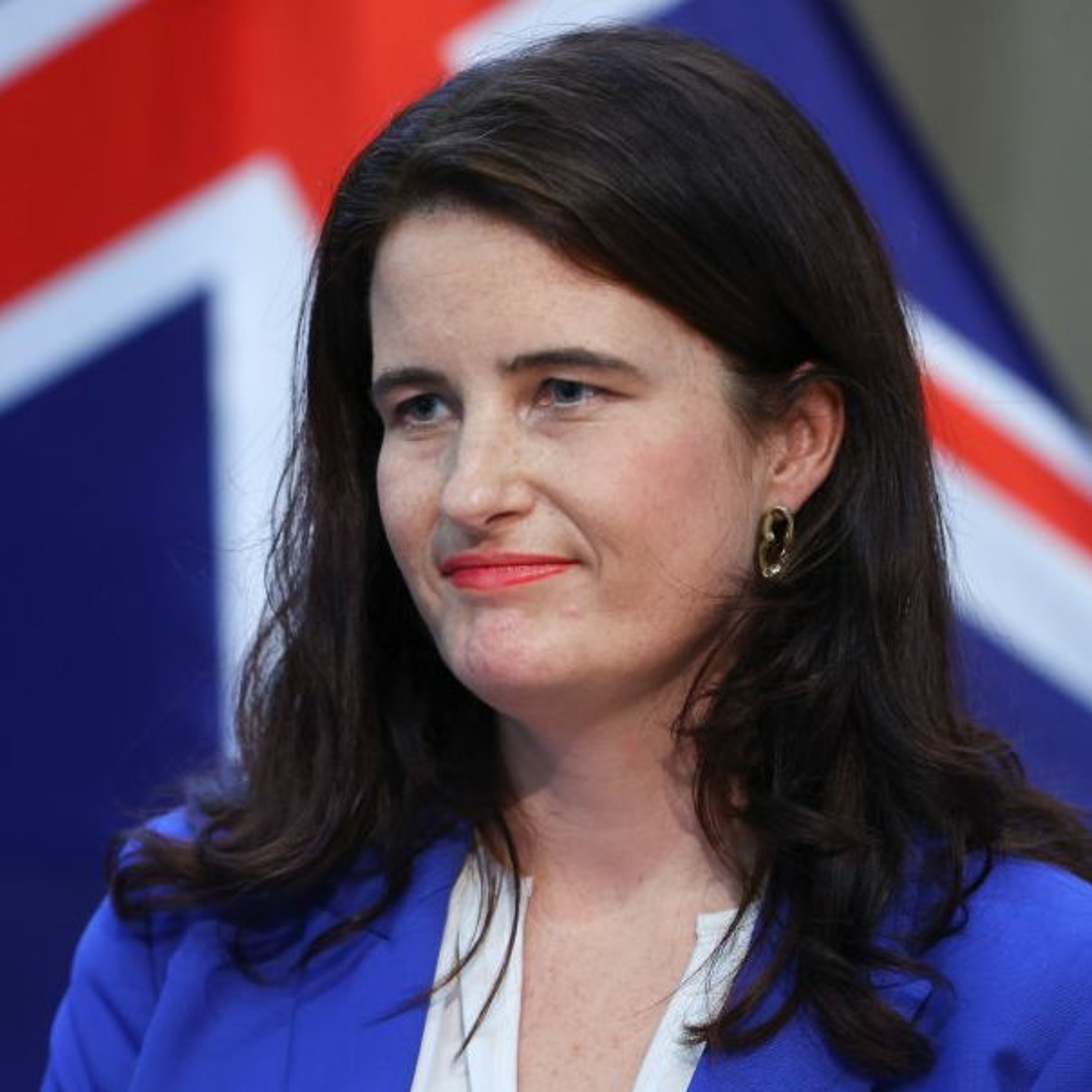 Nicola Willis: National’s tax plan and foreign buyers concern episode artwork
