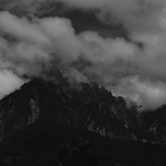 brooklyn baby (schamire cover)