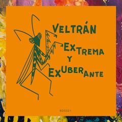 PREMIERE: Veltrán — Elíptica Exuberante (Original Mix) [Belly Dance Services]