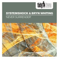 Never Surrender (Radio Edit)