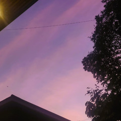 Purple Skies