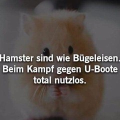 Mcnelse Kann Auch Ruhigere Töne Spielen Weil Manchmal Weniger Mehr Ist Mix......