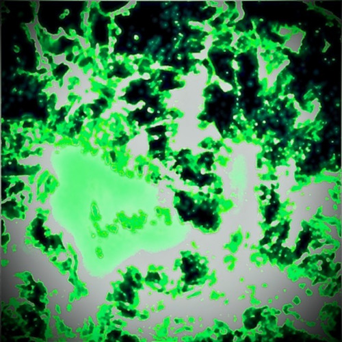 Toxic feat Saskiagoethals