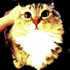 TyingLamp & hikari - KrushThis!