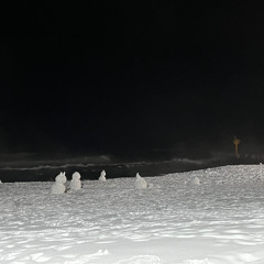 sosil - disorder (joy division cover)