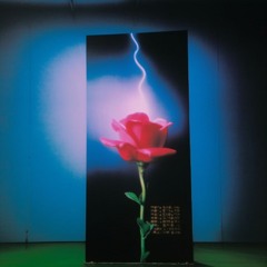 adult contemporary euphoria (a.c.e) - EP1001232X