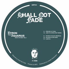 PREMIERE: Byron The Aquarius - Falling In Love (Dub)(Shall Not Fade)