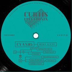 Cyan85 - 0341 Gate LP (CRTSX007)