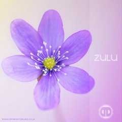 ZULU *@Steve McRae* Birthday Mix 2020