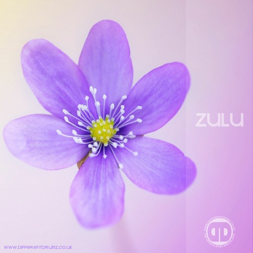 ZULU *@Steve McRae* Birthday Mix 2020