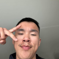 Aallartussanngorpunga [Sivert]