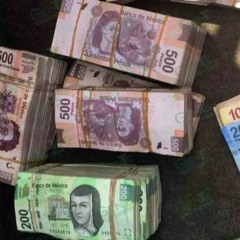 SIN DINERO