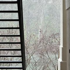 i broke my foot ʕ•́ᴥ•̀ʔっ