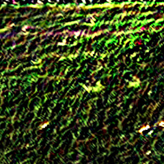 i didn't do anything