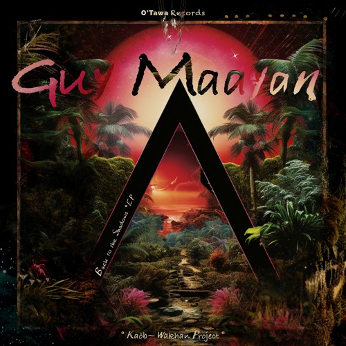 Guy Maayan - Back To The Shadows (Original Mix)