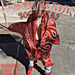 norte slidin freestyle