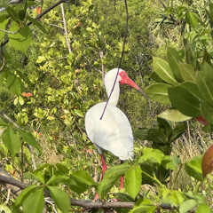 Week Pukeaversary - Waylen - Do We Have The Time?/Fire Falls
