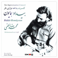 Bidad Homayoun - Lotfi