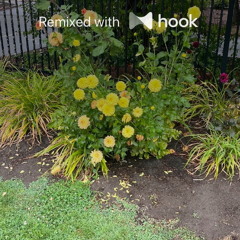 1nonly - Lovely (@luckycharm Hook Remix)