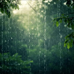 Notes of the Rain