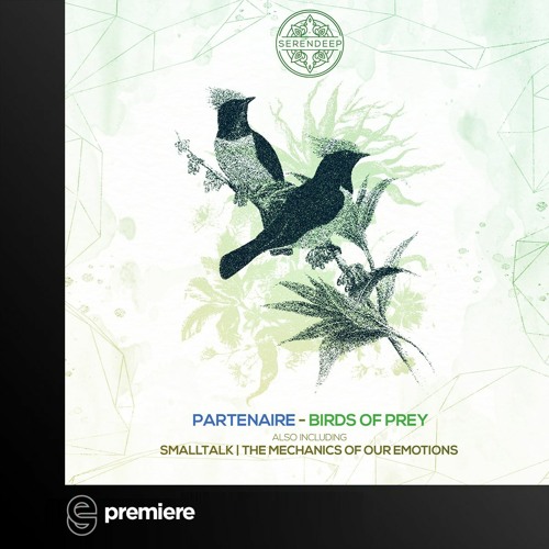Premiere: Partenaire - SmallTalk (Original Mix) - Serendeep