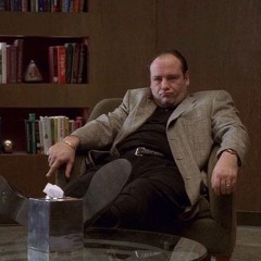 alexithymia (safe in your skin × tony soprano)