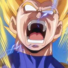 Vegeta Rage