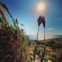 Unblemished (collab)