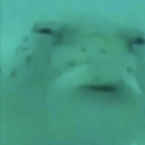 daylight- harry styles (sped up)