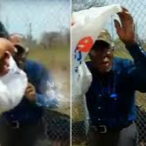 Watch [ LEAKS ] joy lane robert godwin steve stephens video joy lane gore steve stephens reddit