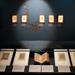 Heavenly Flowers: The Hamilton Book of Hours - Display Overview