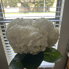 Exit Music For A Film - Radio Head Cover