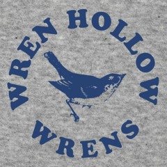 Twin Oaks - New Wren Hollow album coming this weekend!