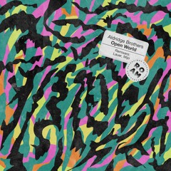 PREMIERE: Aldridge Brothers - Open World (Mijo Remix) [Roam Recordings]