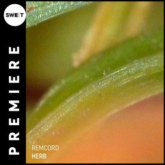 PREMIERE : Remcord - Colombian Gold (Original Mix) [REBA]