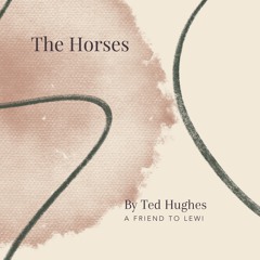 58. The Horses by Ted Hughes - A Friend to Lewi
